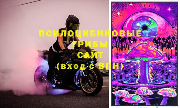 альфа пвп Новодвинск