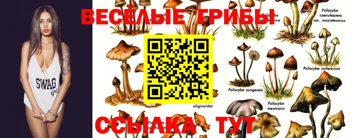Галлюциногенные грибы Magic Shrooms Шумерля